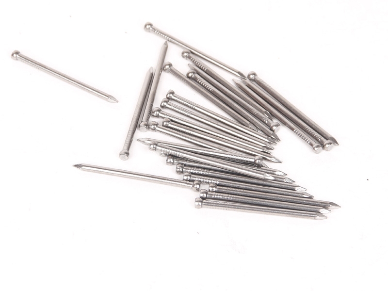 best price of hardware common nails with